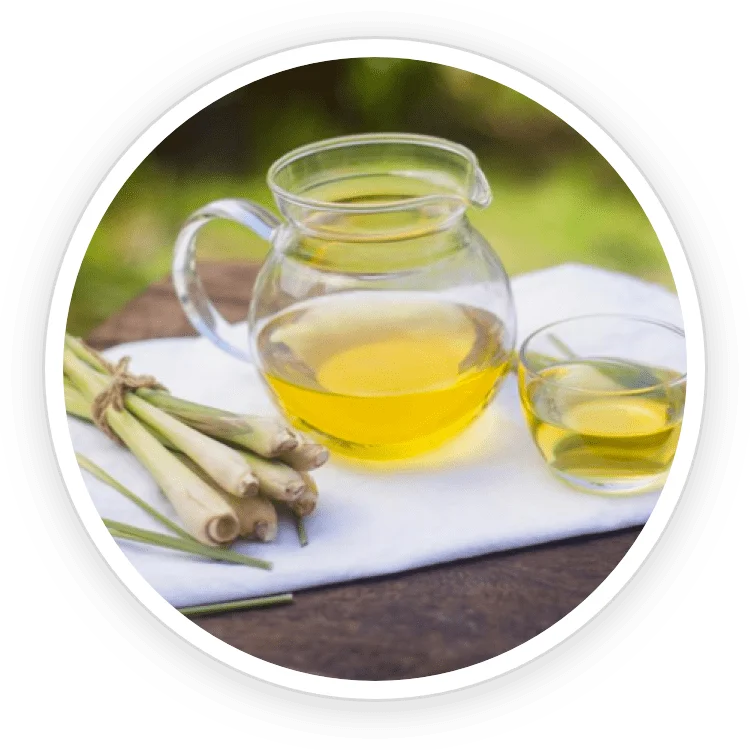 Lemongrass Oil - Kerassential ingredients